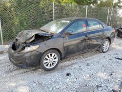 Toyota Vehiculos salvage en venta: 2010 Toyota Corolla Base