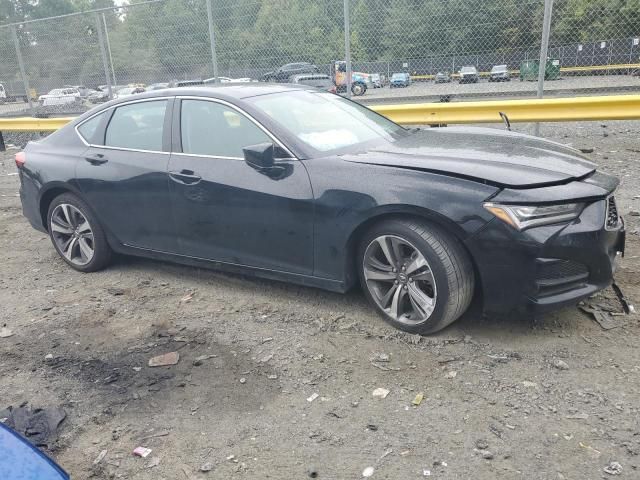 2023 Acura TLX Advance