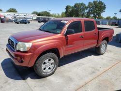 Salvage cars for sale at Sacramento, CA auction: 2005 Toyota Tacoma Double Cab Prerunner