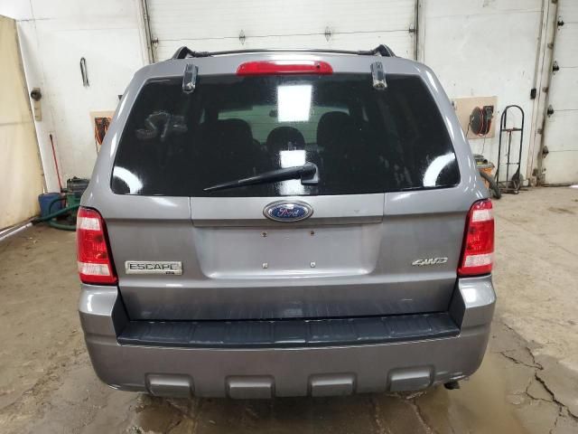 2009 Ford Escape XLT