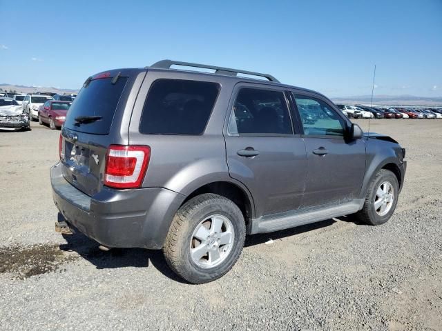 2012 Ford Escape XLT