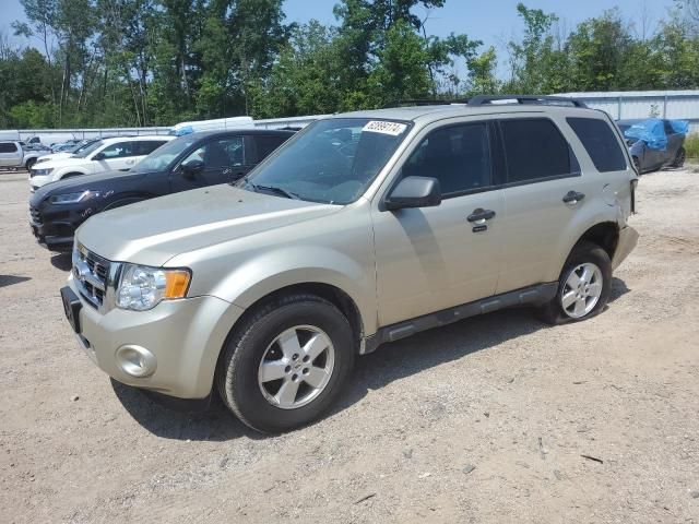 2010 Ford Escape XLT