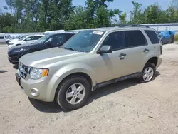 Salvage cars for sale at Milwaukee, WI auction: 2010 Ford Escape XLT