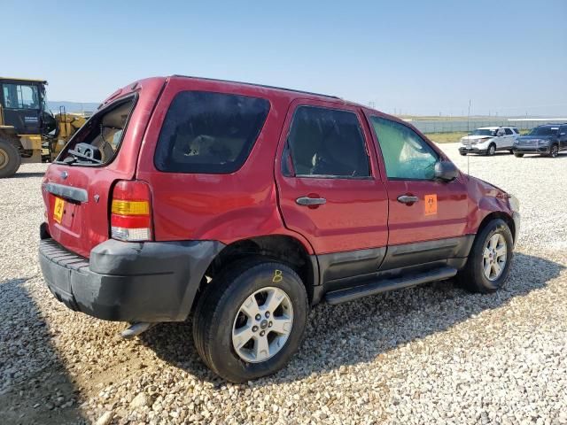 2007 Ford Escape XLT