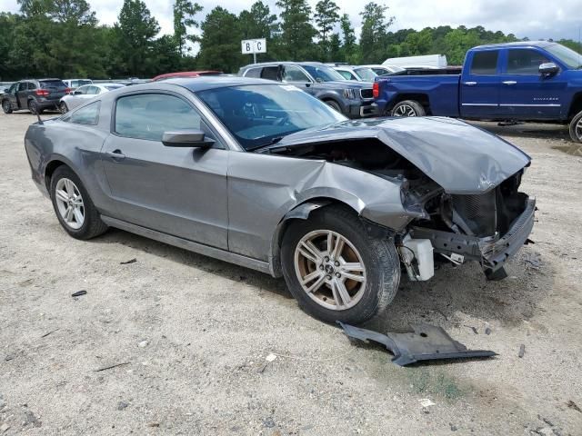 2013 Ford Mustang