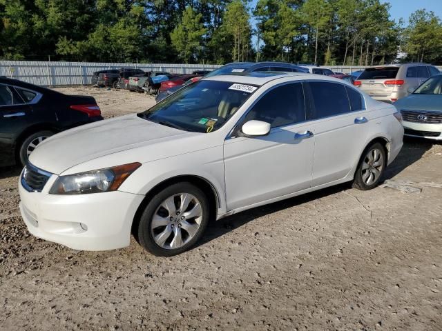 2008 Honda Accord EXL