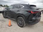 2022 Lexus NX 350