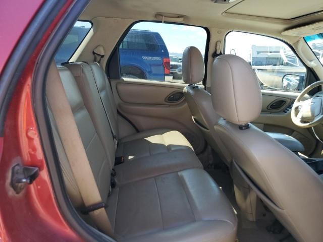 2005 Ford Escape XLT