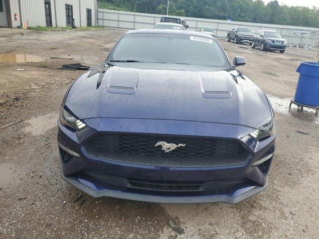 2019 Ford Mustang