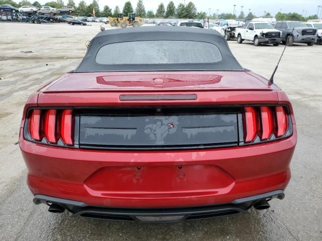 2019 Ford Mustang