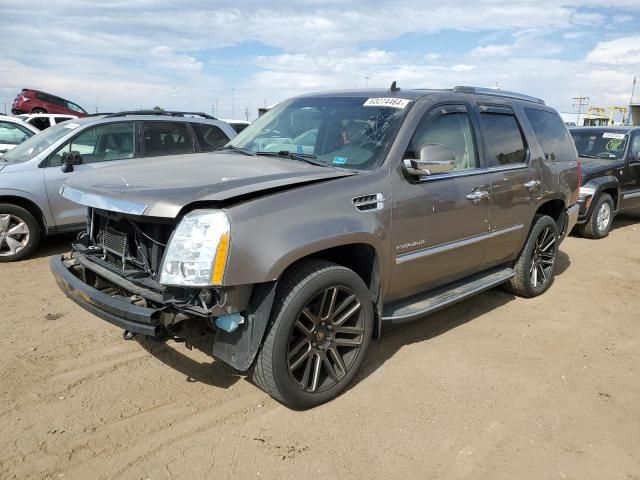 2011 Cadillac Escalade Luxury