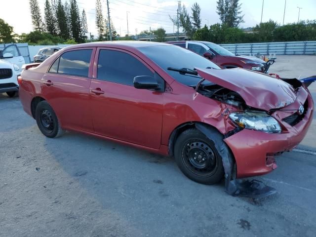 2010 Toyota Corolla Base