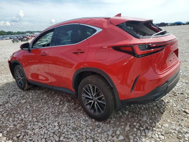 2023 Lexus NX 350