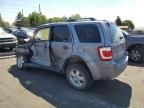 2008 Ford Escape XLT