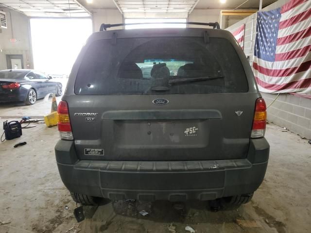 2006 Ford Escape XLT