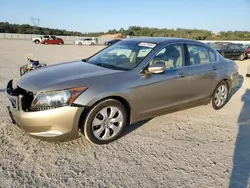 Salvage cars for sale at auction: 2008 Honda Accord EXL