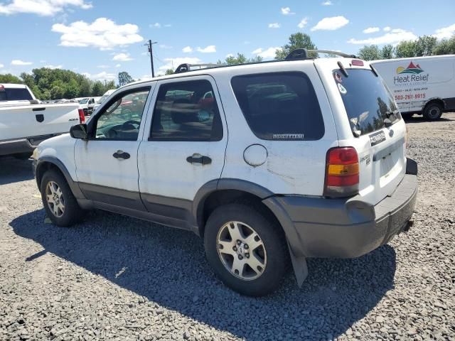 2005 Ford Escape XLT