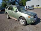 2008 Ford Escape HEV