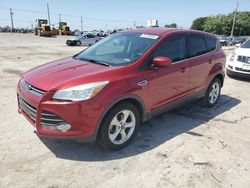 2014 Ford Escape SE en venta en Oklahoma City, OK