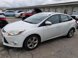 2014 Ford Focus SE en venta en Louisville, KY