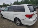 2009 Honda Odyssey EXL