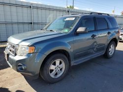 Salvage cars for sale at Littleton, CO auction: 2012 Ford Escape XLT