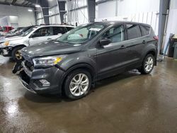 2019 Ford Escape SE en venta en Ham Lake, MN