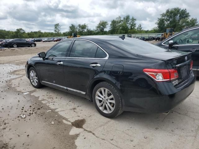 2010 Lexus ES 350