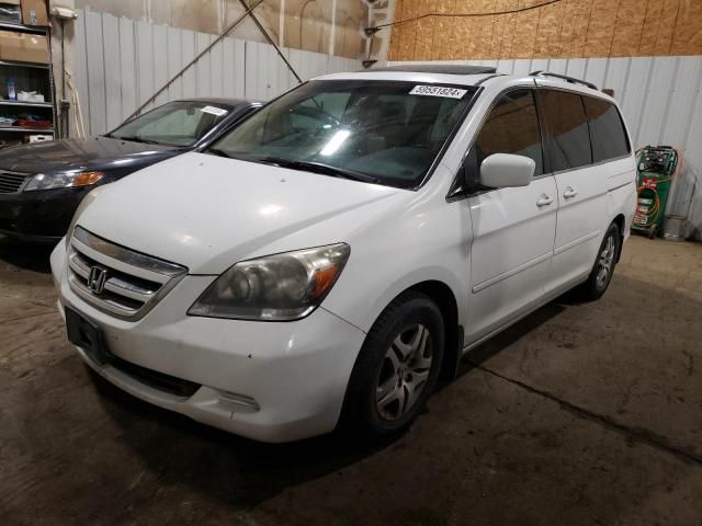 2005 Honda Odyssey EXL