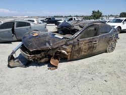 Salvage cars for sale at Antelope, CA auction: 2023 Nissan Altima SV