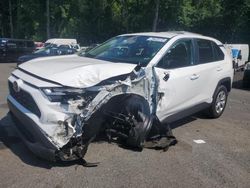 Toyota salvage cars for sale: 2024 Toyota Rav4 LE