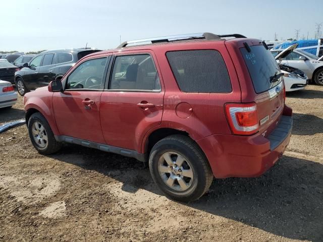 2011 Ford Escape Limited