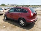 2007 Honda CR-V EXL