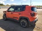 2017 Jeep Renegade Trailhawk