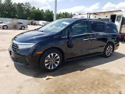 Honda salvage cars for sale: 2024 Honda Odyssey EXL