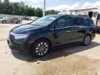 2024 Honda Odyssey EXL