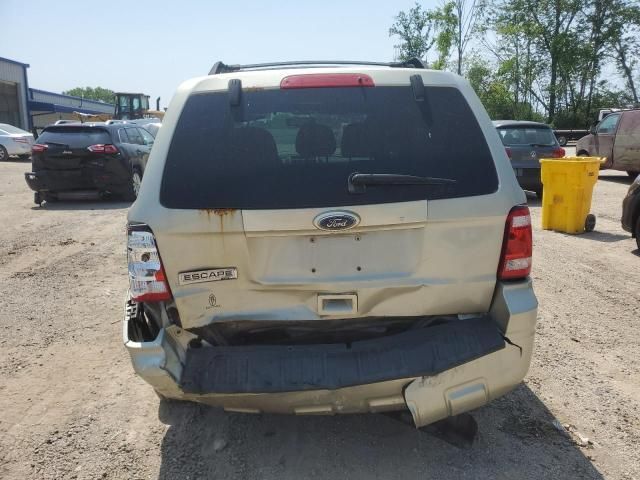 2010 Ford Escape XLT