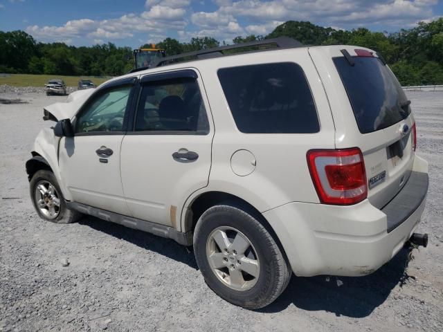 2010 Ford Escape XLT