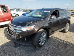 Carros salvage sin ofertas aún a la venta en subasta: 2013 Ford Edge Limited