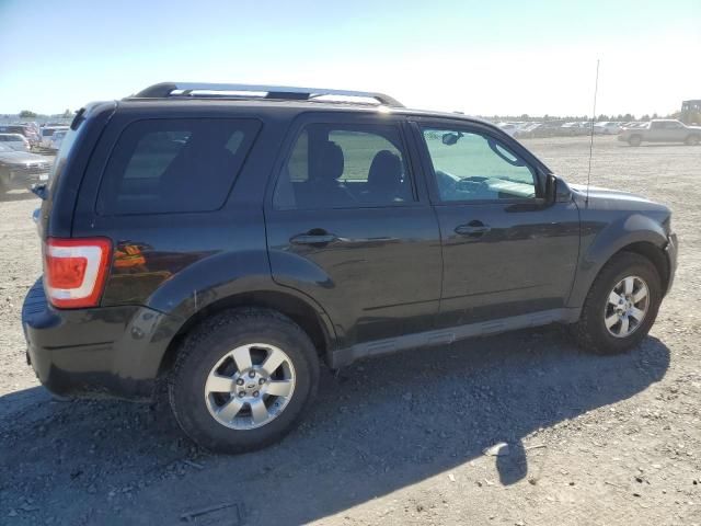 2011 Ford Escape Limited