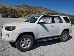 Salvage cars for sale at Reno, NV auction: 2022 Toyota 4runner SR5/SR5 Premium