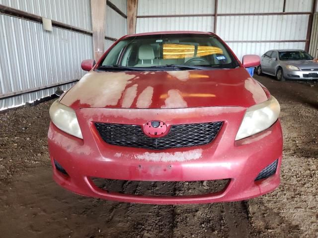 2010 Toyota Corolla Base