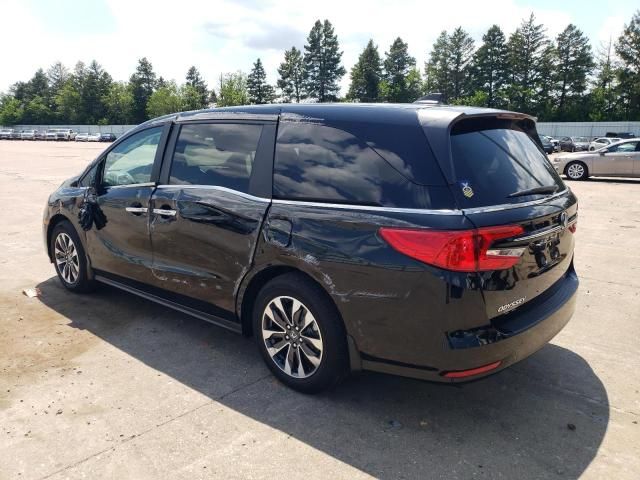 2024 Honda Odyssey EXL