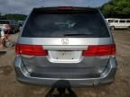 2008 Honda Odyssey EXL