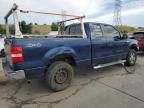 2006 Ford F150