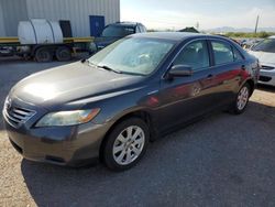 Salvage cars for sale from Copart Tucson, AZ: 2009 Toyota Camry Hybrid