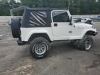 2000 Jeep Wrangler / TJ Sahara