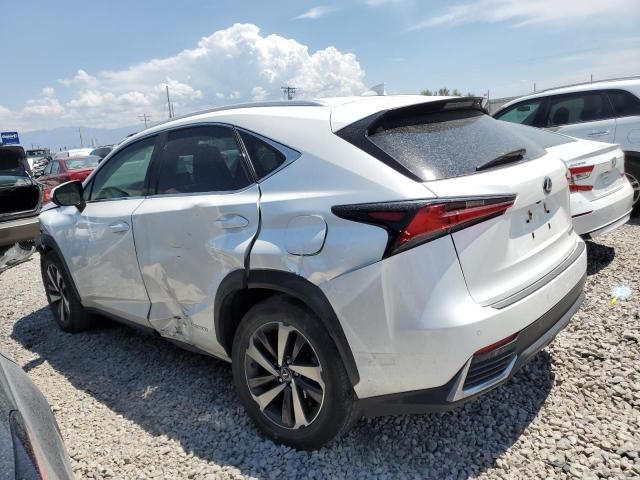 2020 Lexus NX 300H