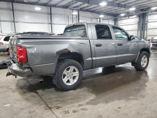 2011 Dodge Dakota SLT