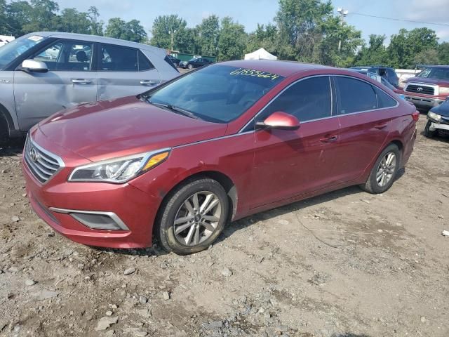 2016 Hyundai Sonata SE